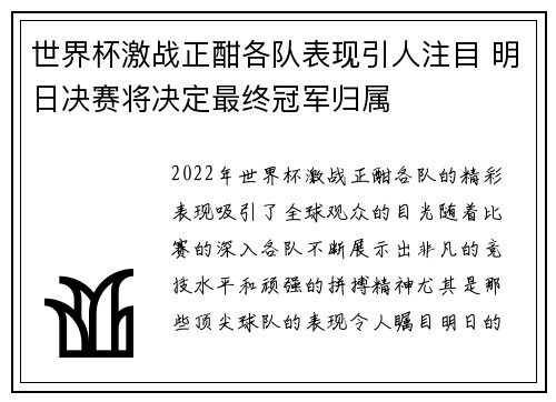 世界杯激战正酣各队表现引人注目 明日决赛将决定最终冠军归属